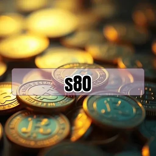 s80 Puzzle